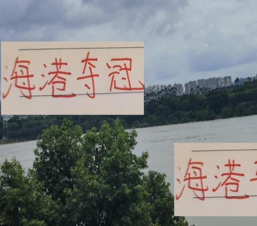 今年海港能否夺冠关键还是武磊接班人莱昂纳多