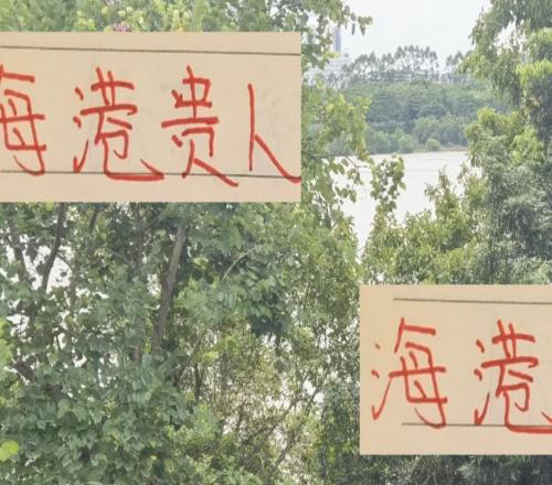 深圳队能成为海港贵人吗他们第29轮客战申花30轮主战成都