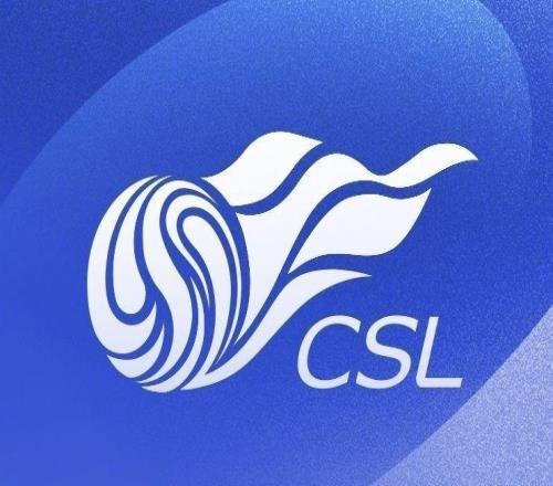 中超历年亚军：申花第五次屈居亚军，超越国安、泰山排名第一