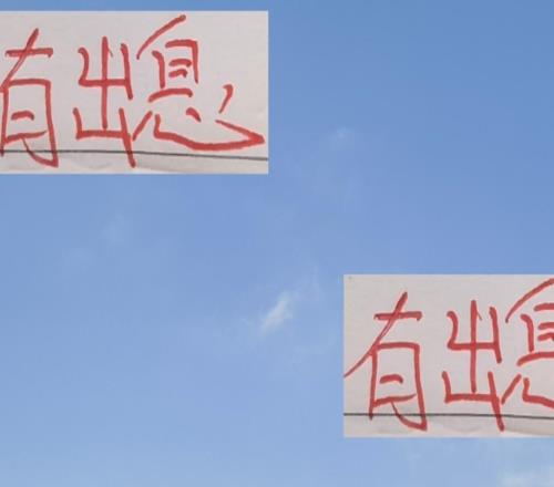 有出息了！2025赛季海港的上座率跟申花上座率平起平坐了