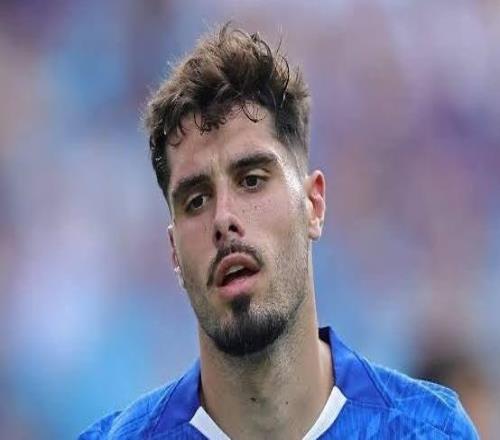 太阳报：内托遭到切尔西球迷网暴，他和帕尔默互不传球是谣言