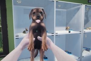 集建造、养育与经营于一体！异域风情2宠物店模拟器正式登陆Steam