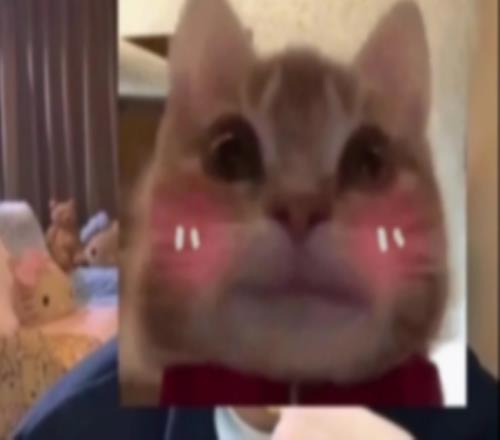 涵艺：iG经理没经验第一次搞这种转会期，换苏小落Elk不可能到WBG