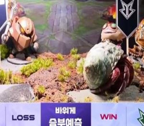 不如蝈蝈！LCK策划比赛预测蟹老板看好DNF和BRO全部猜错