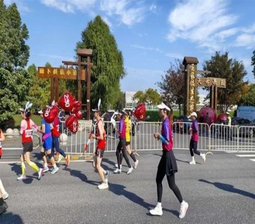 在奔跑中感受田园魅力！2025浙沪乡村半程马拉松赛开跑