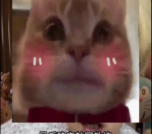 朱开：很多LPL队伍迷信韩国教练但不了解中国文化会浪费磨合时间