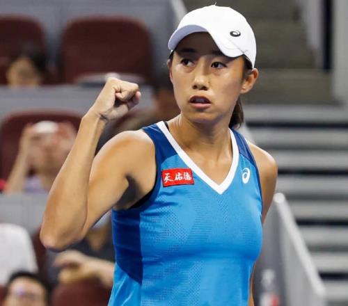 张帅为何不参加全运会网友三重猜测，与网协尘封多年矛盾被扒出