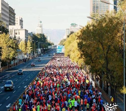 经典赛道优化升级，北京马拉松拉动效应超23亿元