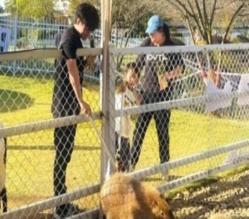 Beichuan分享旅游照：冒死投喂一下封王极限