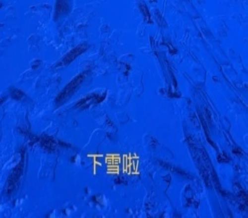 JDG中单选手HongQ更新ins动态：下雪啦