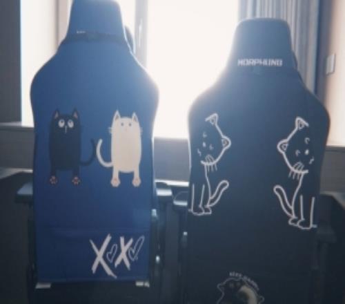 余霜分享新买的电竞椅：定制款变体精灵YYDS！以后可以双排上分了