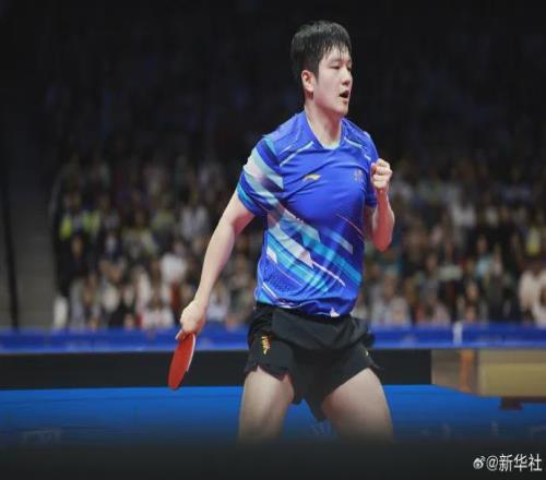 樊振东战胜王楚钦，晋级决赛
